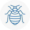 Bed Bug Extermination In West Dulwich