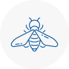 Bee Nest Removal West Dulwich