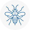 West Dulwich Hornet Nest Removals