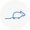 Mice Exterminators In West Dulwich