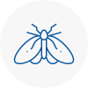Moth Control Specialists In West Dulwich