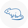 Rat Control West Dulwich