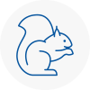 West Dulwich Rodent Removals